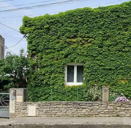 Maison Ideale Pour Famille * Carcassonne